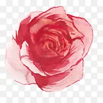 �ɾ��ز�ɭ��ϵ�ز�-������