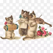 贺卡和便条卡猫生日小猫结婚请柬-明信片-空若网 贺卡和便条卡猫生日小猫结婚请柬-明信片-空若网