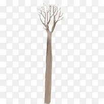 ������ͨ��֦װ��-������