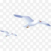 卡通手绘海鸥-空若网 卡通手绘海鸥-空若网