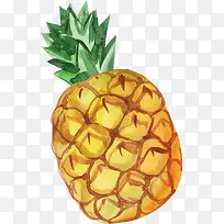 手绘水彩菠萝-空若网 手绘水彩菠萝-空若网