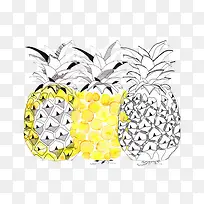 水果-空若网 水果-空若网