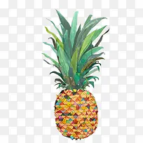 菠萝-空若网 菠萝-空若网