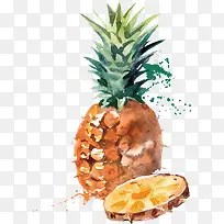 水果-空若网 水果-空若网