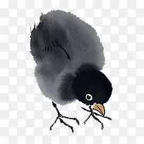 ˮ���ֻ漦�ز�-������