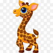 ����¹�ز�-������