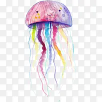 ˮ��ˮĸ-������