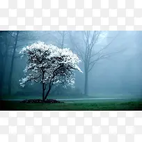 冬季白色雪花树枝海报背景-空若网 冬季白色雪花树枝海报背景-空若网
