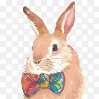 水彩卡通手绘兔子-空若网 水彩卡通手绘兔子-空若网