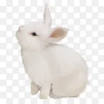 ��ɫ�ɰ�����-������