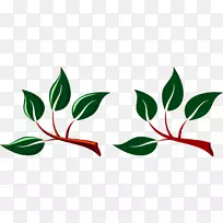 树枝、树叶、剪贴画.绿叶-空若网 树枝、树叶、剪贴画.绿叶-空若网
