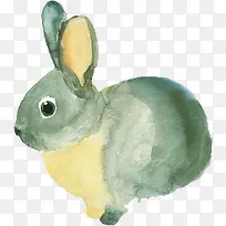 ���� ����-������