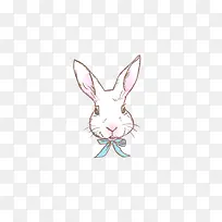 可爱兔子-空若网 可爱兔子-空若网