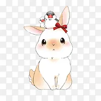 可爱宠物兔子-空若网 可爱宠物兔子-空若网