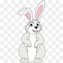 白色的兔子-空若网 白色的兔子-空若网