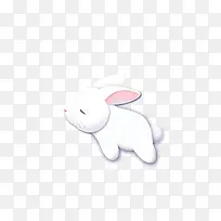 手绘白色可爱兔子-空若网 手绘白色可爱兔子-空若网