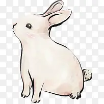 手绘可爱小兔子乖巧-空若网 手绘可爱小兔子乖巧-空若网