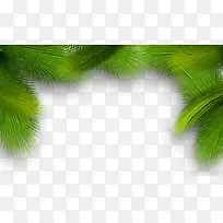 圣诞松树枝-空若网 圣诞松树枝-空若网