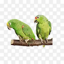 ��������-������