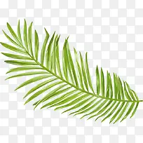 绿色树枝植物清新-空若网 绿色树枝植物清新-空若网