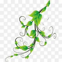 绿色时尚清爽花纹树枝-空若网 绿色时尚清爽花纹树枝-空若网
