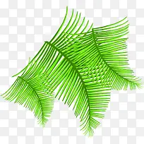 ��ɫ��ͨ��ˬ�����֦-������