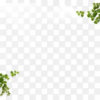 绿色时尚春天树枝-空若网 绿色时尚春天树枝-空若网