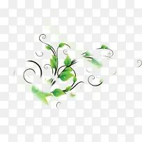 ��ɫ���⻨����֦װ��-������