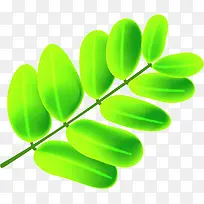绿色树叶设计树枝-空若网 绿色树叶设计树枝-空若网