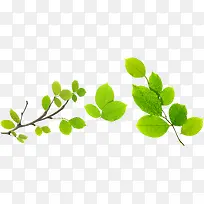 黄绿色清新女鞋文艺树枝-空若网 黄绿色清新女鞋文艺树枝-空若网