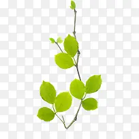 黄绿色清新女鞋树枝装饰-空若网 黄绿色清新女鞋树枝装饰-空若网