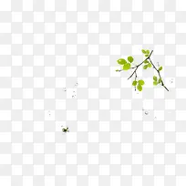 ��ɫ��ͨ������֦-������