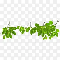 绿色卡通树叶树枝生机-空若网 绿色卡通树叶树枝生机-空若网