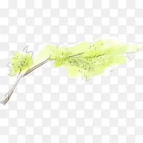 ��ɫ������֦����-������