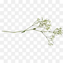 创意合成效果绿色的树枝-空若网 创意合成效果绿色的树枝-空若网