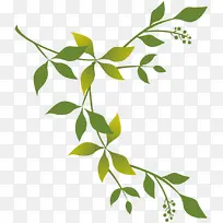 »ÆÂÌÉ«Ê÷Ò¶Ê÷֦װÊÎ-¿ÕÈôÍø »ÆÂÌÉ«Ê÷Ò¶Ê÷֦װÊÎ-¿ÕÈôÍø