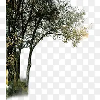 绿色树枝样式海景房-空若网 绿色树枝样式海景房-空若网