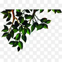 ��ɫ��֦ŷʽ����-������