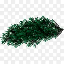 ÂÌÉ«ÇåÐÂÊ÷Ö¦Ö²Îï-¿ÕÈôÍø ÂÌÉ«ÇåÐÂÊ÷Ö¦Ö²Îï-¿ÕÈôÍø