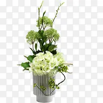 ��ɫ������֦����-������