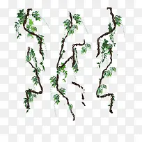 ���崴��Ԫ����ɫ��֦-������