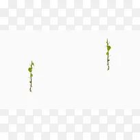 ��ɫ��֦�̶�����-������