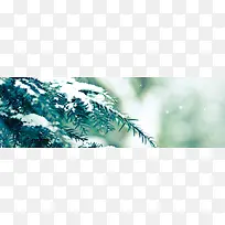 树枝雪花-空若网 树枝雪花-空若网