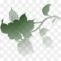 情浓端午绿色树枝花瓣-空若网 情浓端午绿色树枝花瓣-空若网