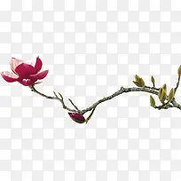 端午花朵绿色树枝-空若网 端午花朵绿色树枝-空若网