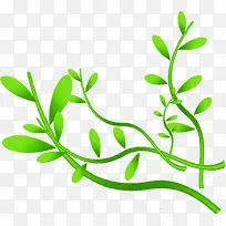 ��ͨ��ɫҶ����֦-������