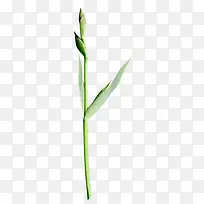 绿色树枝花瓣树枝-空若网 绿色树枝花瓣树枝-空若网