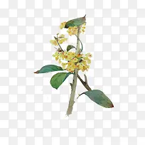 彩绘树枝绿色叶子-空若网 彩绘树枝绿色叶子-空若网