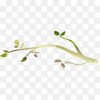 ��ɫ��֦��Ҷ����-������