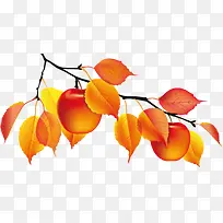 绿色叶子红色苹果树枝-空若网 绿色叶子红色苹果树枝-空若网